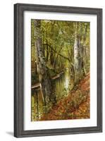 A Wooded River Landscape, 1893-Peder Mork Monsted-Framed Giclee Print