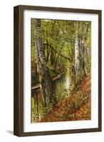 A Wooded River Landscape, 1893-Peder Mork Monsted-Framed Giclee Print