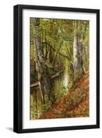 A Wooded River Landscape, 1893-Peder Mork Monsted-Framed Giclee Print