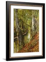 A Wooded River Landscape, 1893-Peder Mork Monsted-Framed Giclee Print