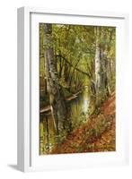 A Wooded River Landscape, 1893-Peder Mork Monsted-Framed Giclee Print