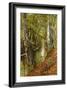 A Wooded River Landscape, 1893-Peder Mork Monsted-Framed Giclee Print