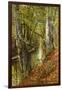 A Wooded River Landscape, 1893-Peder Mork Monsted-Framed Giclee Print