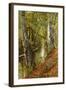 A Wooded River Landscape, 1893-Peder Mork Monsted-Framed Giclee Print