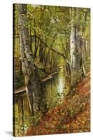 A Wooded River Landscape, 1893-Peder Mork Monsted-Stretched Canvas