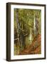 A Wooded River Landscape, 1893-Peder Mork Monsted-Framed Premium Giclee Print