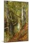 A Wooded River Landscape, 1893-Peder Mork Monsted-Mounted Premium Giclee Print
