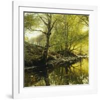 A Wooded River Landscape, 1910-Peder Mork Monsted-Framed Giclee Print