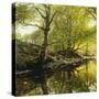 A Wooded River Landscape, 1910-Peder Mork Monsted-Stretched Canvas