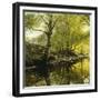 A Wooded River Landscape, 1910-Peder Mork Monsted-Framed Giclee Print