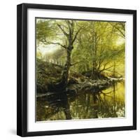 A Wooded River Landscape, 1910-Peder Mork Monsted-Framed Giclee Print