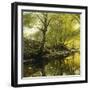 A Wooded River Landscape, 1910-Peder Mork Monsted-Framed Giclee Print