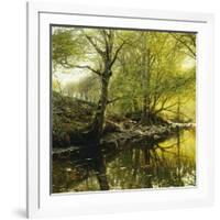 A Wooded River Landscape, 1910-Peder Mork Monsted-Framed Giclee Print