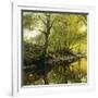 A Wooded River Landscape, 1910-Peder Mork Monsted-Framed Giclee Print