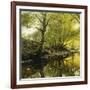 A Wooded River Landscape, 1910-Peder Mork Monsted-Framed Giclee Print