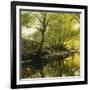 A Wooded River Landscape, 1910-Peder Mork Monsted-Framed Giclee Print