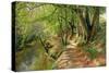 A Wooded River Landscape by Peder Monsted-Peder Monsted-Stretched Canvas