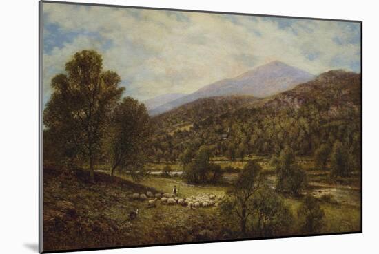 A Wooded River Landscape with a Shepherd and Sheep-Alfred Augustus Glendening-Mounted Giclee Print