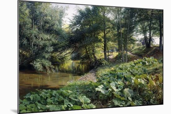 A Wooded River Landscape with Deer Beyond, 1904-Peder Mork Monsted-Mounted Giclee Print