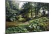 A Wooded River Landscape with Deer Beyond, 1904-Peder Mork Monsted-Mounted Premium Giclee Print