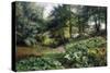 A Wooded River Landscape with Deer Beyond, 1904-Peder Mork Monsted-Stretched Canvas
