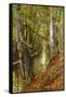 A Wooded River Landscape-Peder Mork Monsted-Framed Stretched Canvas