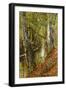 A Wooded River Landscape-Peder Mork Monsted-Framed Giclee Print