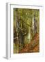 A Wooded River Landscape-Peder Mork Monsted-Framed Giclee Print