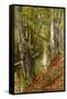 A Wooded River Landscape-Peder Mork Monsted-Framed Stretched Canvas