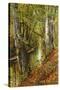 A Wooded River Landscape-Peder Mork Monsted-Stretched Canvas