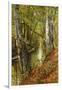 A Wooded River Landscape-Peder Mork Monsted-Framed Giclee Print