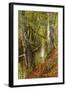 A Wooded River Landscape-Peder Mork Monsted-Framed Giclee Print