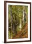 A Wooded River Landscape-Peder Mork Monsted-Framed Giclee Print