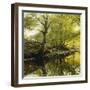 A Wooded River Landscape-Peder Mork Monsted-Framed Giclee Print