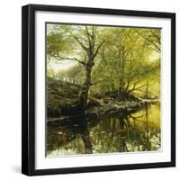 A Wooded River Landscape-Peder Mork Monsted-Framed Giclee Print