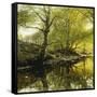 A Wooded River Landscape-Peder Mork Monsted-Framed Stretched Canvas