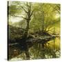 A Wooded River Landscape-Peder Mork Monsted-Stretched Canvas