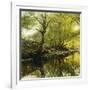 A Wooded River Landscape-Peder Mork Monsted-Framed Giclee Print