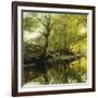 A Wooded River Landscape-Peder Mork Monsted-Framed Giclee Print