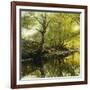 A Wooded River Landscape-Peder Mork Monsted-Framed Giclee Print