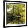 A Wooded River Landscape-Peder Mork Monsted-Framed Giclee Print