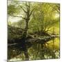 A Wooded River Landscape-Peder Mork Monsted-Mounted Giclee Print