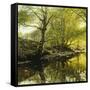 A Wooded River Landscape-Peder Mork Monsted-Framed Stretched Canvas