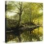 A Wooded River Landscape-Peder Mork Monsted-Stretched Canvas