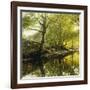 A Wooded River Landscape-Peder Mork Monsted-Framed Giclee Print