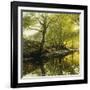 A Wooded River Landscape-Peder Mork Monsted-Framed Giclee Print