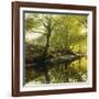 A Wooded River Landscape-Peder Mork Monsted-Framed Giclee Print