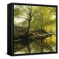 A Wooded River Landscape-Peder Mork Monsted-Framed Stretched Canvas