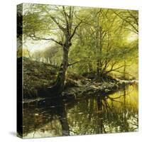 A Wooded River Landscape-Peder Mork Monsted-Stretched Canvas