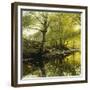 A Wooded River Landscape-Peder Mork Monsted-Framed Giclee Print